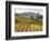 Italy, Tuscany. Colorful Vineyards in Fall in the Val Dorcia-Julie Eggers-Framed Photographic Print