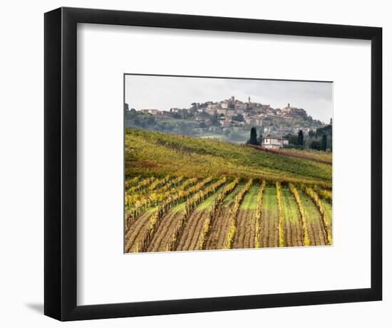 Italy, Tuscany. Colorful Vineyards in Fall in the Val Dorcia-Julie Eggers-Framed Photographic Print