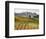 Italy, Tuscany. Colorful Vineyards in Fall in the Val Dorcia-Julie Eggers-Framed Photographic Print