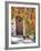 Italy, Tuscany, Contignano. a Wooden Door Surrounded by Fall and Cat-Julie Eggers-Framed Photographic Print