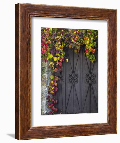 Italy, Tuscany, Contignano. Door Surrounded by Fall Colored Ivy-Julie Eggers-Framed Premium Photographic Print