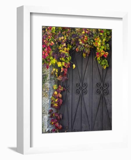 Italy, Tuscany, Contignano. Door Surrounded by Fall Colored Ivy-Julie Eggers-Framed Premium Photographic Print