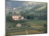 Italy, Tuscany. Countryside and Vineyards in the Chianti Region-Julie Eggers-Mounted Photographic Print