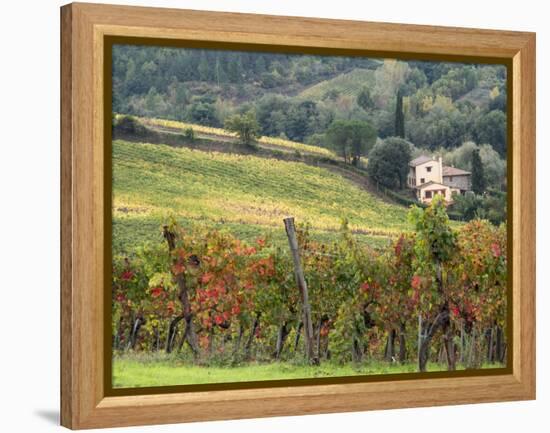 Italy, Tuscany. Farm House and Vineyard in the Chianti Region-Julie Eggers-Framed Premier Image Canvas