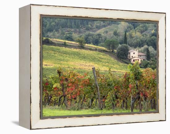 Italy, Tuscany. Farm House and Vineyard in the Chianti Region-Julie Eggers-Framed Premier Image Canvas
