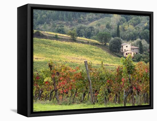 Italy, Tuscany. Farm House and Vineyard in the Chianti Region-Julie Eggers-Framed Premier Image Canvas