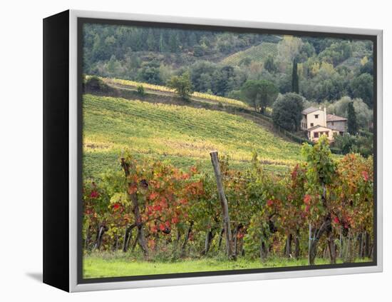 Italy, Tuscany. Farm House and Vineyard in the Chianti Region-Julie Eggers-Framed Premier Image Canvas