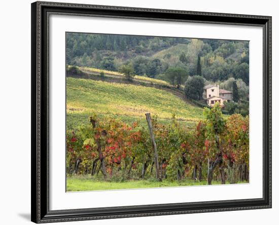 Italy, Tuscany. Farm House and Vineyard in the Chianti Region-Julie Eggers-Framed Photographic Print