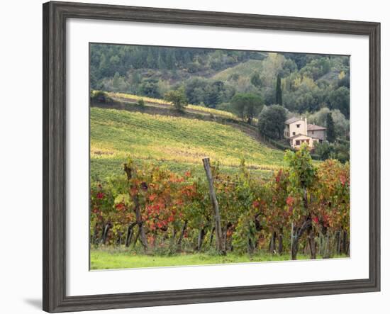 Italy, Tuscany. Farm House and Vineyard in the Chianti Region-Julie Eggers-Framed Photographic Print