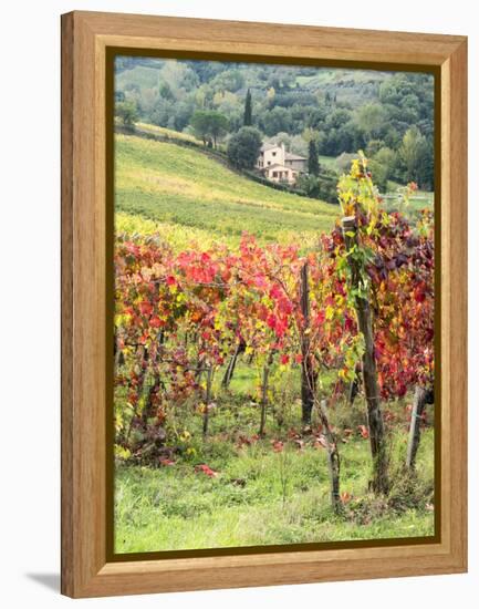 Italy, Tuscany. Farm House and Vineyard in the Chianti Region-Julie Eggers-Framed Premier Image Canvas