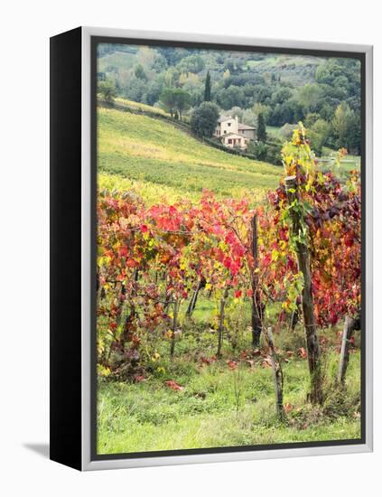 Italy, Tuscany. Farm House and Vineyard in the Chianti Region-Julie Eggers-Framed Premier Image Canvas