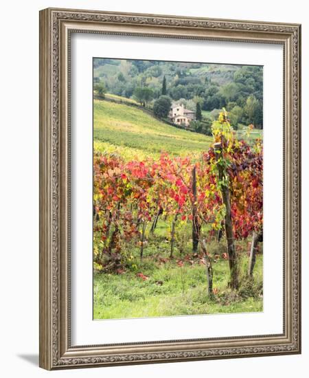 Italy, Tuscany. Farm House and Vineyard in the Chianti Region-Julie Eggers-Framed Photographic Print