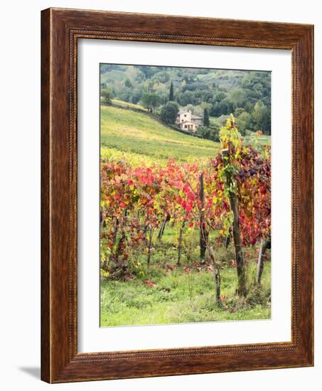 Italy, Tuscany. Farm House and Vineyard in the Chianti Region-Julie Eggers-Framed Photographic Print