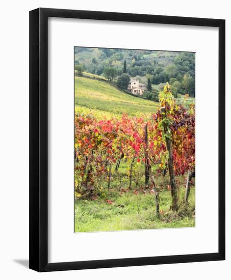 Italy, Tuscany. Farm House and Vineyard in the Chianti Region-Julie Eggers-Framed Photographic Print