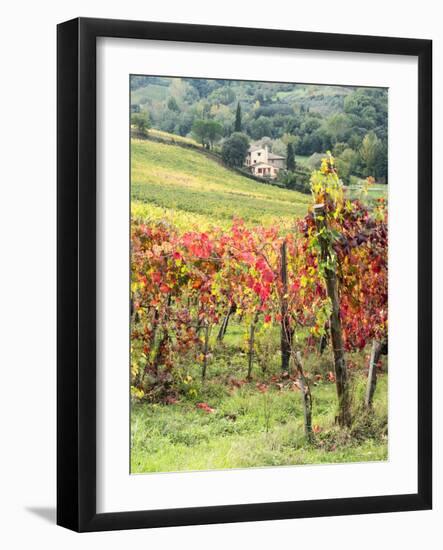 Italy, Tuscany. Farm House and Vineyard in the Chianti Region-Julie Eggers-Framed Photographic Print