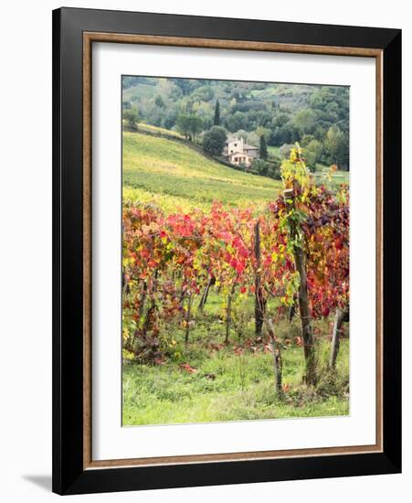 Italy, Tuscany. Farm House and Vineyard in the Chianti Region-Julie Eggers-Framed Photographic Print