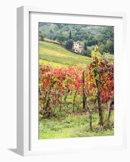 Italy, Tuscany. Farm House and Vineyard in the Chianti Region-Julie Eggers-Framed Photographic Print