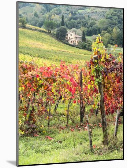 Italy, Tuscany. Farm House and Vineyard in the Chianti Region-Julie Eggers-Mounted Photographic Print