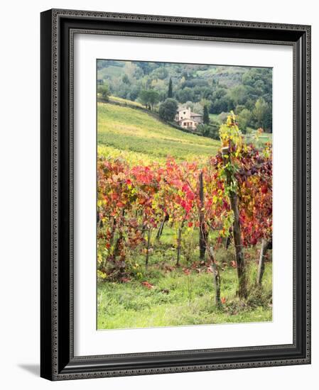 Italy, Tuscany. Farm House and Vineyard in the Chianti Region-Julie Eggers-Framed Photographic Print