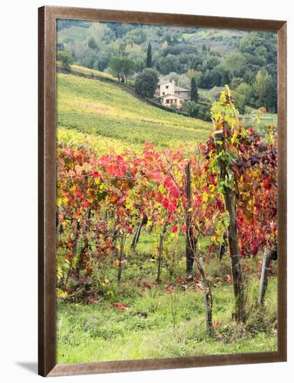 Italy, Tuscany. Farm House and Vineyard in the Chianti Region-Julie Eggers-Framed Photographic Print