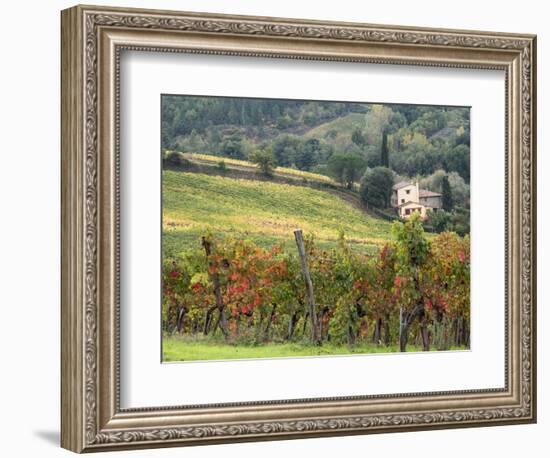 Italy, Tuscany. Farm House and Vineyard in the Chianti Region-Julie Eggers-Framed Photographic Print