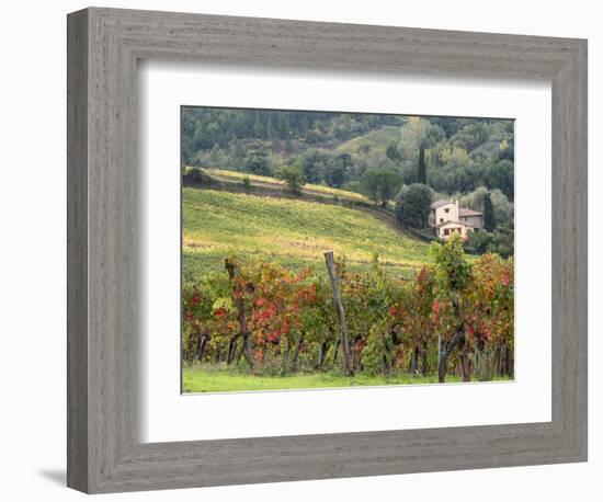 Italy, Tuscany. Farm House and Vineyard in the Chianti Region-Julie Eggers-Framed Photographic Print