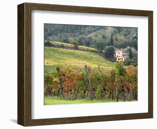 Italy, Tuscany. Farm House and Vineyard in the Chianti Region-Julie Eggers-Framed Photographic Print