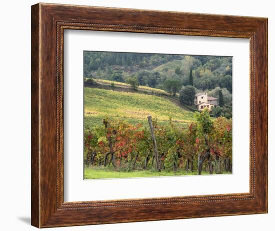 Italy, Tuscany. Farm House and Vineyard in the Chianti Region-Julie Eggers-Framed Photographic Print