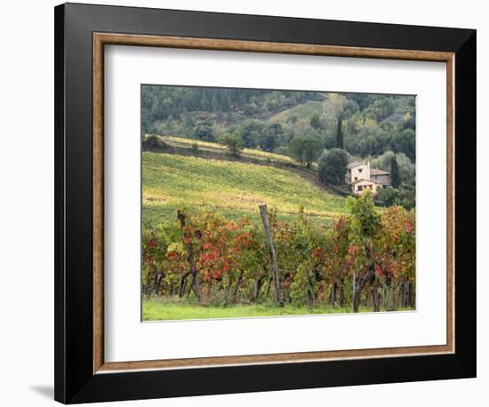 Italy, Tuscany. Farm House and Vineyard in the Chianti Region-Julie Eggers-Framed Photographic Print