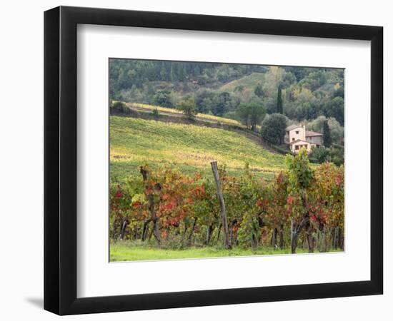 Italy, Tuscany. Farm House and Vineyard in the Chianti Region-Julie Eggers-Framed Photographic Print