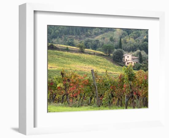 Italy, Tuscany. Farm House and Vineyard in the Chianti Region-Julie Eggers-Framed Photographic Print