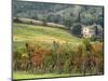 Italy, Tuscany. Farm House and Vineyard in the Chianti Region-Julie Eggers-Mounted Photographic Print