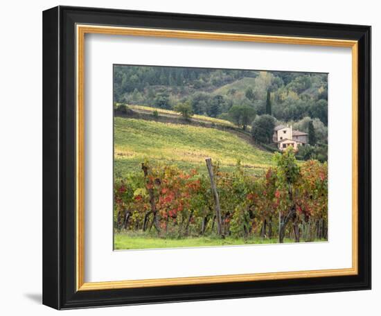 Italy, Tuscany. Farm House and Vineyard in the Chianti Region-Julie Eggers-Framed Photographic Print