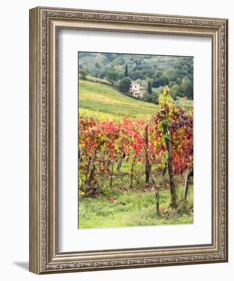 Italy, Tuscany. Farm House and Vineyard in the Chianti Region-Julie Eggers-Framed Premium Photographic Print