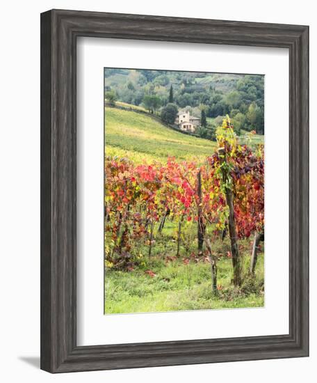 Italy, Tuscany. Farm House and Vineyard in the Chianti Region-Julie Eggers-Framed Premium Photographic Print