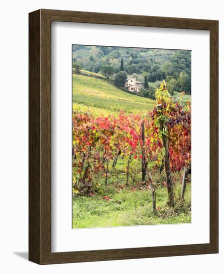 Italy, Tuscany. Farm House and Vineyard in the Chianti Region-Julie Eggers-Framed Premium Photographic Print