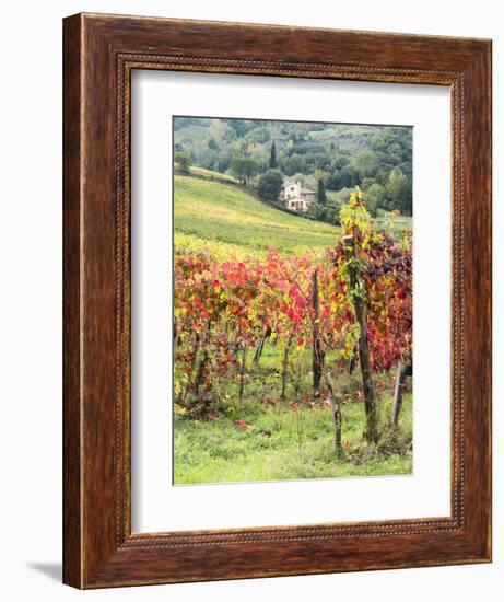 Italy, Tuscany. Farm House and Vineyard in the Chianti Region-Julie Eggers-Framed Premium Photographic Print