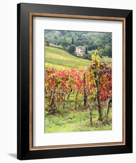 Italy, Tuscany. Farm House and Vineyard in the Chianti Region-Julie Eggers-Framed Premium Photographic Print