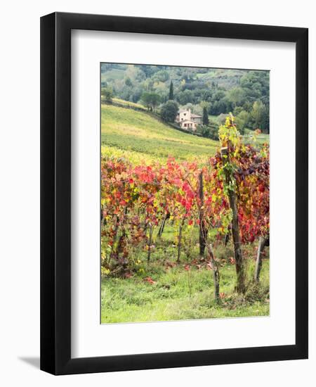 Italy, Tuscany. Farm House and Vineyard in the Chianti Region-Julie Eggers-Framed Premium Photographic Print