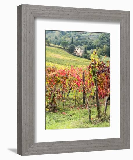 Italy, Tuscany. Farm House and Vineyard in the Chianti Region-Julie Eggers-Framed Photographic Print