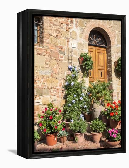 Italy, Tuscany. Flowers by House in the Medieval Town Monticchiello-Julie Eggers-Framed Premier Image Canvas