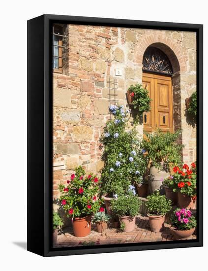 Italy, Tuscany. Flowers by House in the Medieval Town Monticchiello-Julie Eggers-Framed Premier Image Canvas