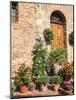 Italy, Tuscany. Flowers by House in the Medieval Town Monticchiello-Julie Eggers-Mounted Photographic Print