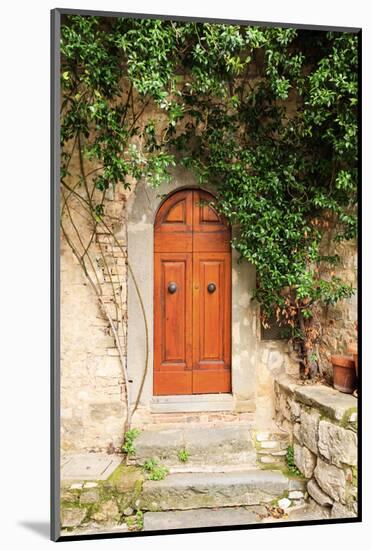 Italy, Tuscany, Greve in Chianti. Chianti vineyards. Stone farm house entrance door.-Emily Wilson-Mounted Photographic Print