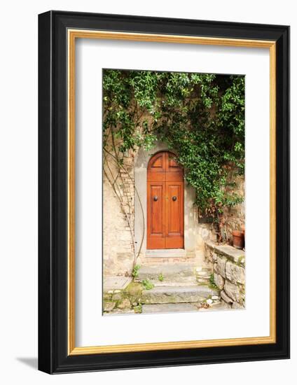 Italy, Tuscany, Greve in Chianti. Chianti vineyards. Stone farm house entrance door.-Emily Wilson-Framed Photographic Print