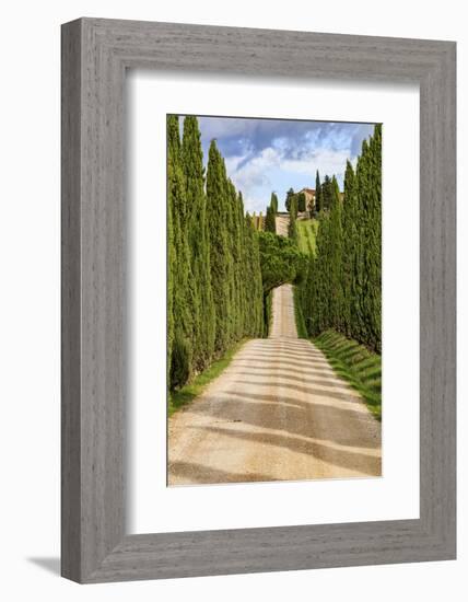 Italy, Tuscany hills and cypress trees.-Emily Wilson-Framed Photographic Print