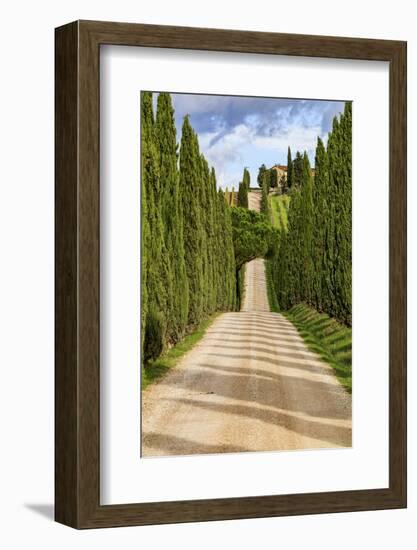 Italy, Tuscany hills and cypress trees.-Emily Wilson-Framed Photographic Print