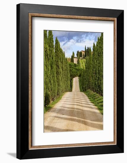 Italy, Tuscany hills and cypress trees.-Emily Wilson-Framed Photographic Print