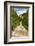 Italy, Tuscany hills and cypress trees.-Emily Wilson-Framed Photographic Print