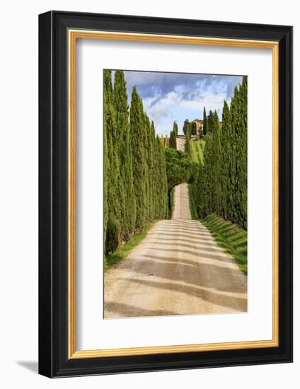 Italy, Tuscany hills and cypress trees.-Emily Wilson-Framed Photographic Print